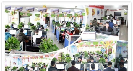 西南領(lǐng)先的一站式數(shù)字服務 重慶四模建站、全網(wǎng)推廣與軟件開發(fā)解決方案